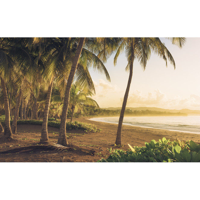 Fototapete Golden Lands