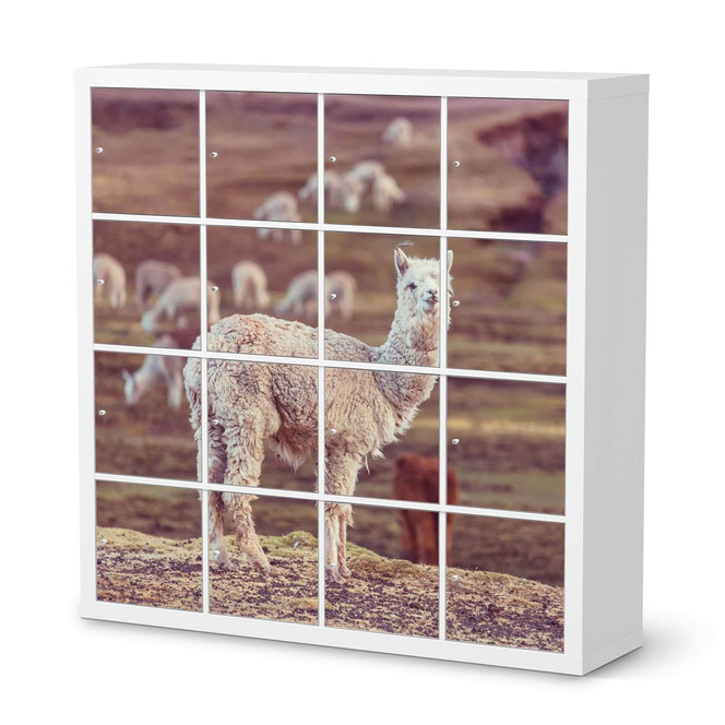 Möbelfolie IKEA Expedit Regal 16 Türen - Pako- Bild 1