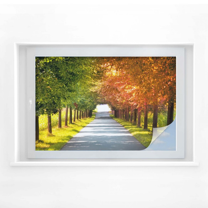 Sichtschutzfolie Herbst