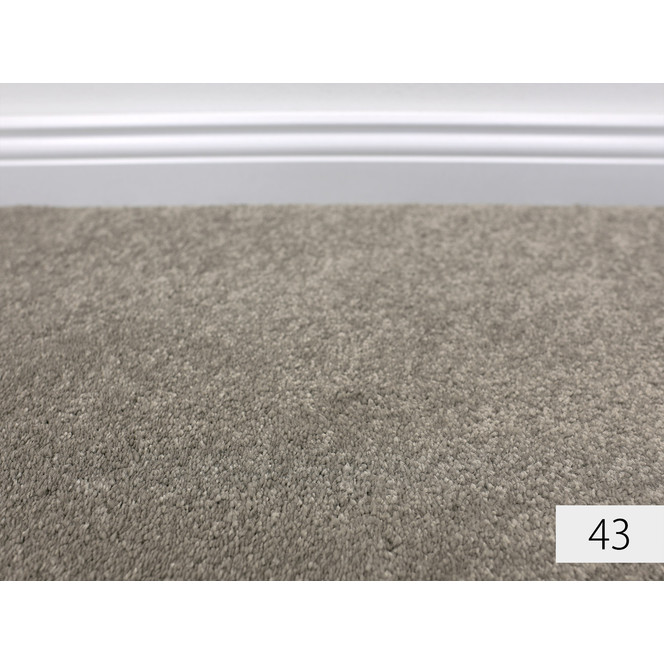 Amaryllis Softflor Teppichboden Meterware in 43