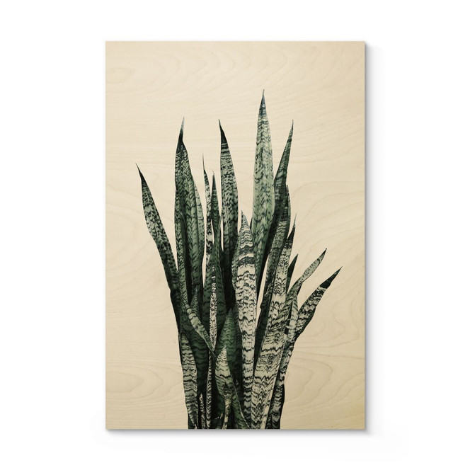 Holzbild Bogenhanf Pflanze - Sisi & Seb