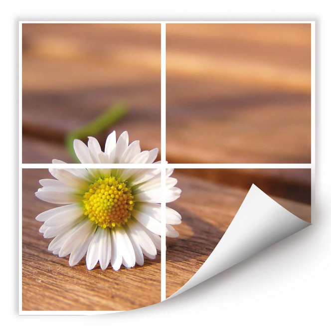 Wallprint Gänseblümchen