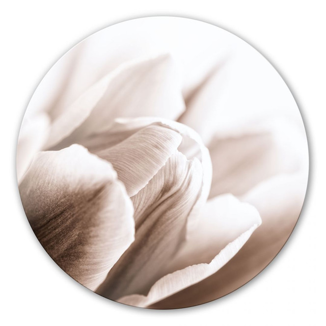 Glasbild Tulpe im Detail - rund