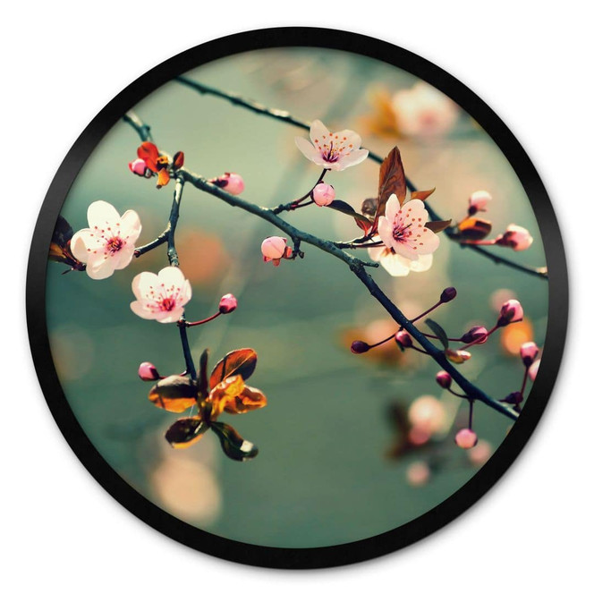 Poster Frühlingserwachen - Rund