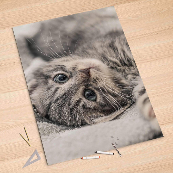 Folienbogen (100x150cm) - Kitty the Cat- Bild 1