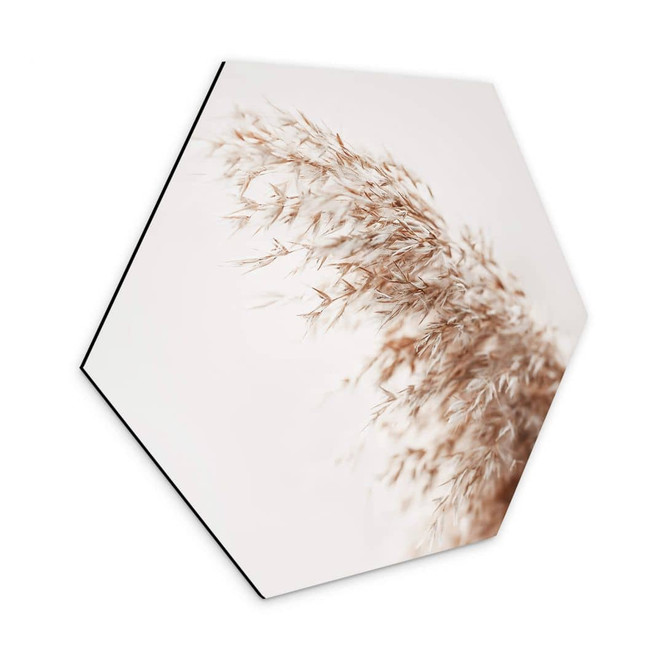 Hexagon - Alu-Dibond Pampasgras