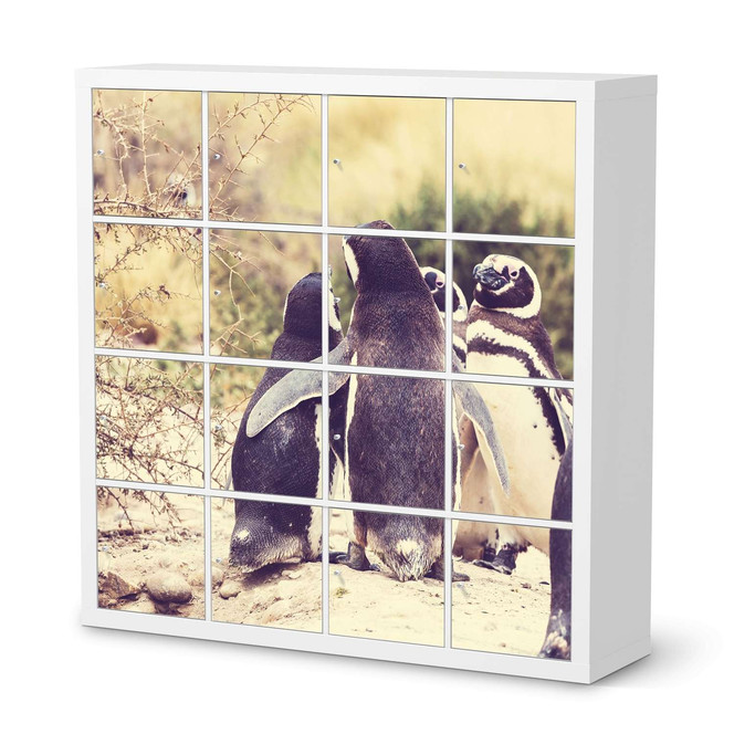 Möbelfolie IKEA Expedit Regal 16 Türen - Pingu Friendship- Bild 1