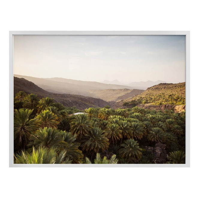 Poster Colombo - Oase im Oman