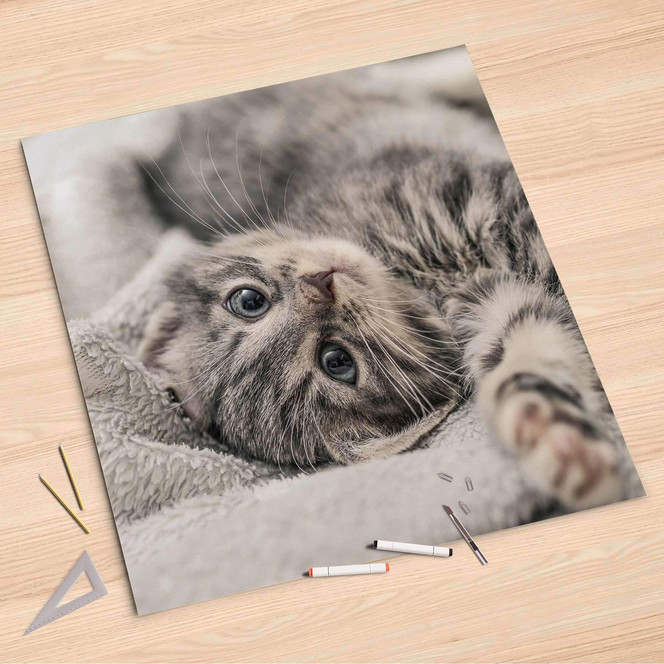 Folienbogen (90x90cm) - Kitty the Cat- Bild 1