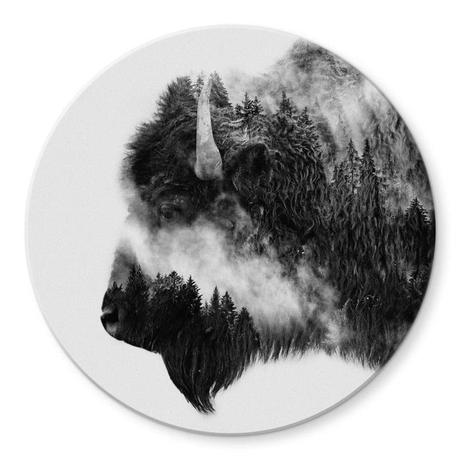 Glasbild Angyalosi - Bison - Rund