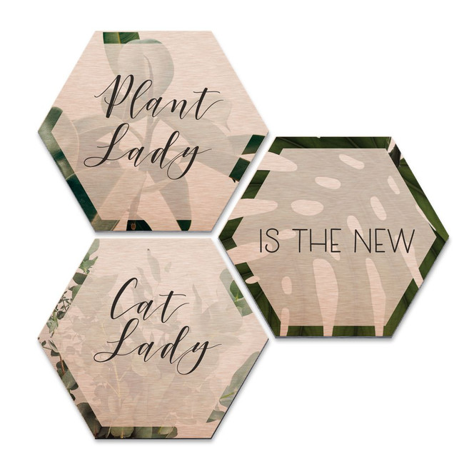 Hexagon - Alu-Dibond-Kupfereffekt - Plantlady is the new Catlady (3er Set)