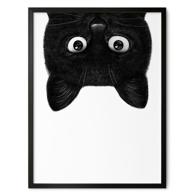 Poster Schwarze Katze kopfüber - Korenkova