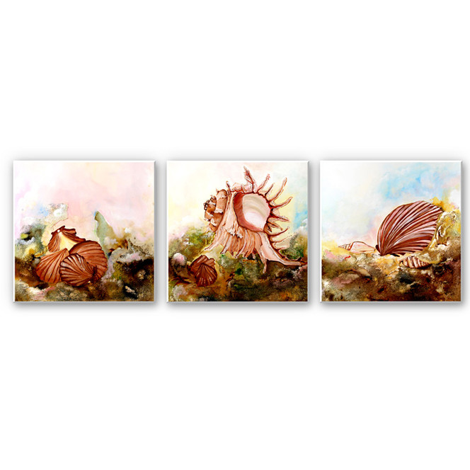 Wandbild Fedrau - Muscheln 02 (3-teilig)