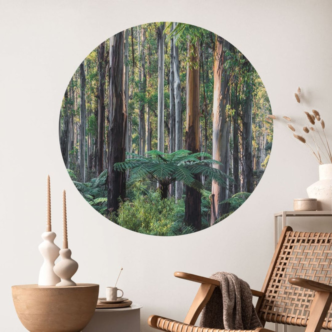 Wandtattoo Eukalyptuswald in den Yarra Ranges - Colombo - Rund
