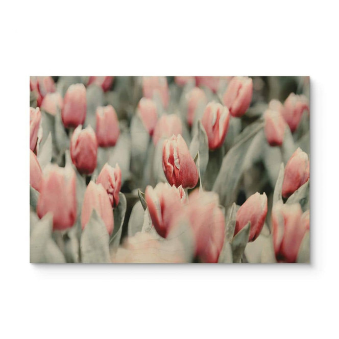 Holzposter Annie - Frühlingstulpen