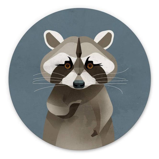 Wandbild Waschbär - Alu-Dibond Rund - Braun