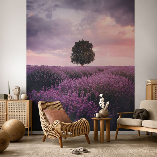 Fototapete Lila Lavendelfelder bei Sonnenuntergang - Cevik