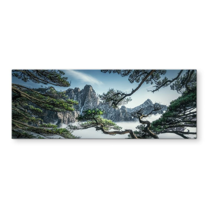 Glasbild Kiefernwald im Huang Shan Gebirge - NingYun Ye - Panorama