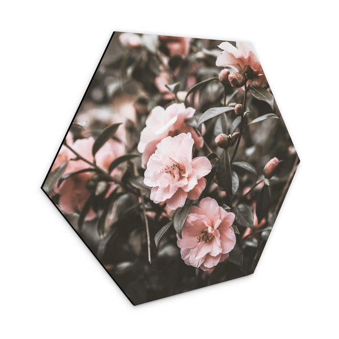 Hexagon - Alu-Dibond Annie - Rosenstrauch