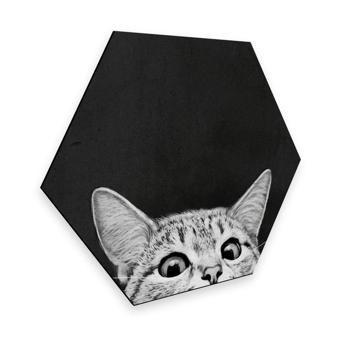 Hexagon - Alu-Dibond Graves - Are you asleep yet