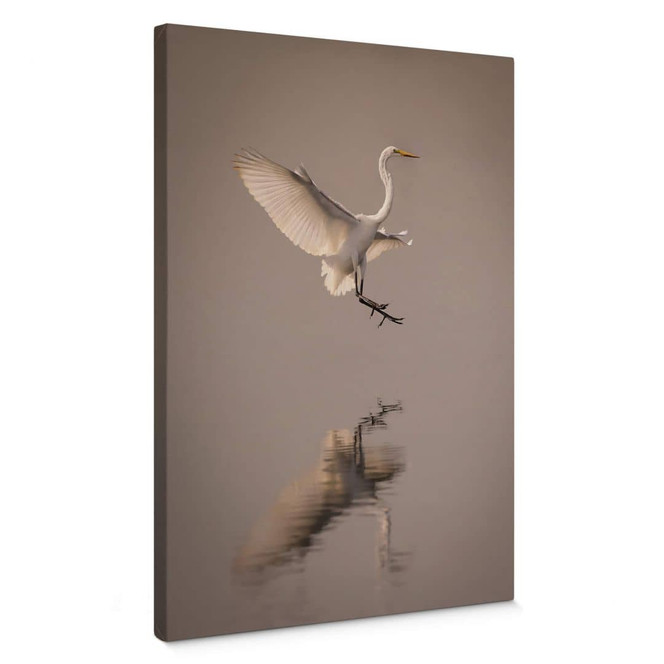 Leinwandbild Lai - Vogel-Landung auf dem Wasser