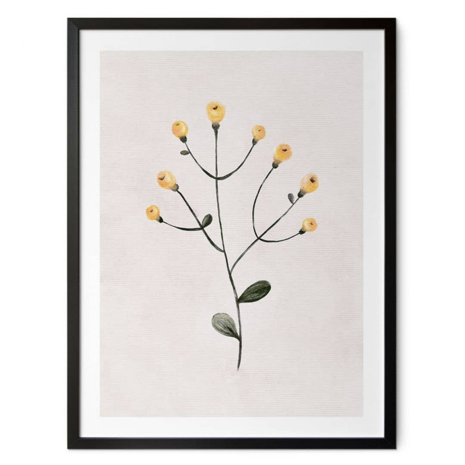 Poster Zarte Pflanze mit gelben Blüten - Goed Blauw