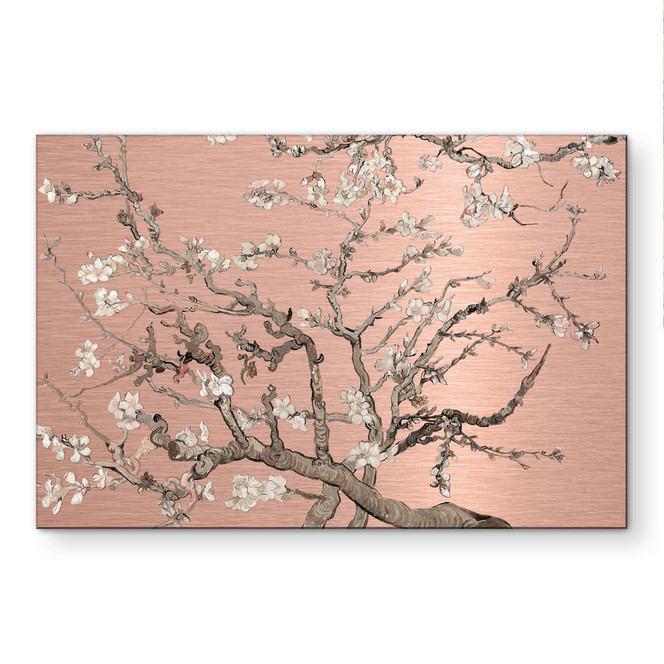 Alu-Dibond gebürstet mit Kupfereffekt - Mandelblüte - Van Gogh