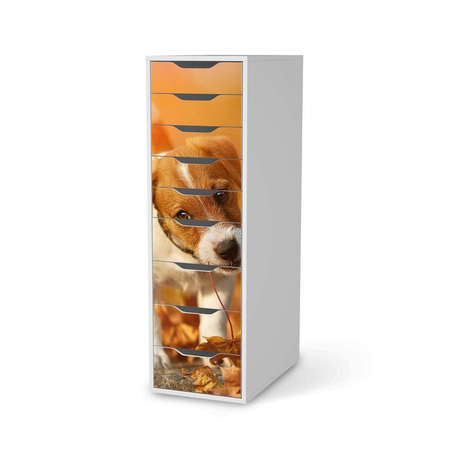 Folie IKEA Alex 9 Schubladen - Jack the Puppy- Bild 1