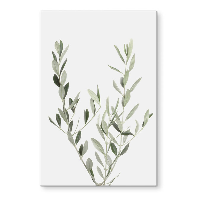 Glasbild Sisi & Seb - Olivenzweig