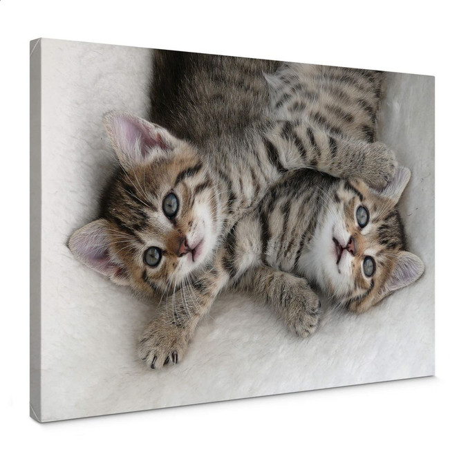 Leinwandbild Freunde