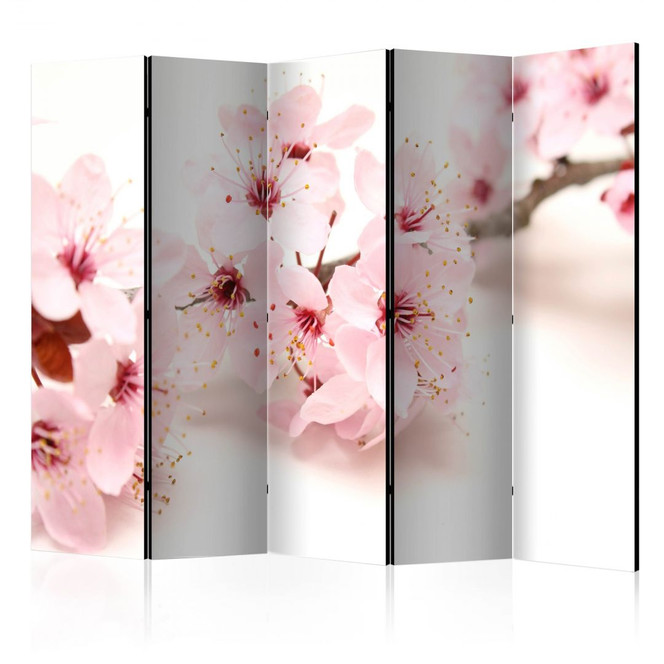 Paravent, Raumteiler freistehend, Trennwand - Kirschblüte, 5-teilig - 225 x 172 cm