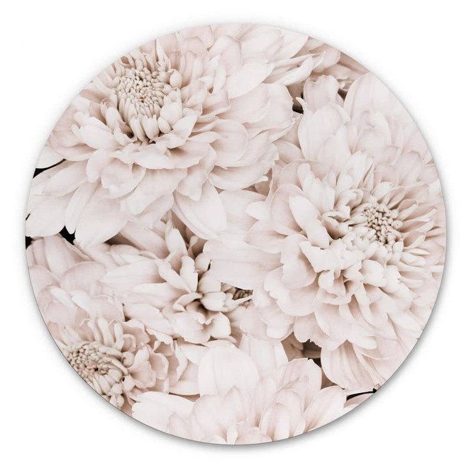 Alu-Dibond 1X Studio - Aster Apricot - Rund