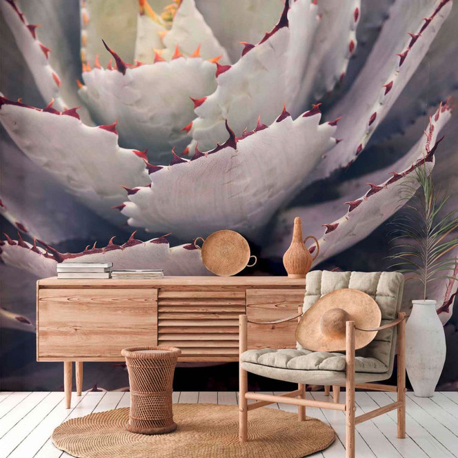 Fototapete Natur Cactusplant in lila grau - Vliestapete Designwalls 2 - 2.55x3.5 m