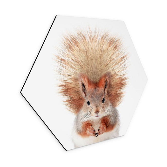 Hexagon Wandbild Kleines Eichhörnchen - Alu-Dibond - Sisi & Seb