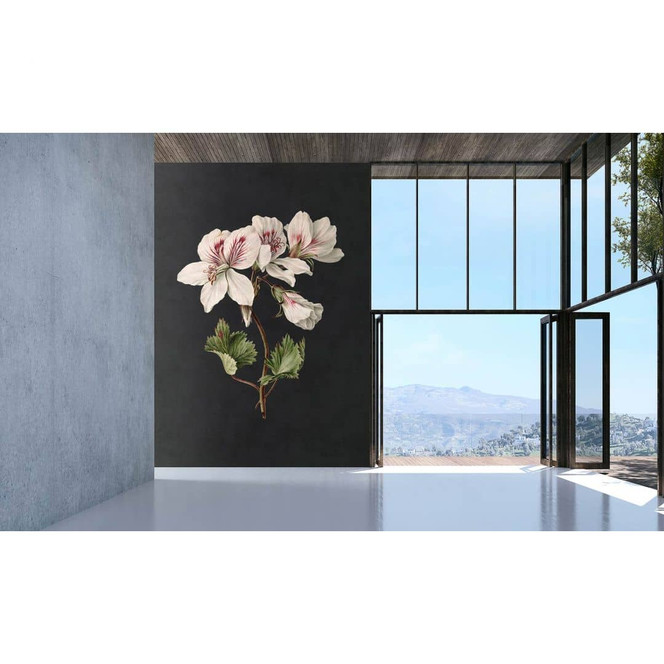 Livingwalls Fototapete Walls by Patel 3 Midnight Garden 1 schwarz, grün, weiss, rot, braun - Bild 1