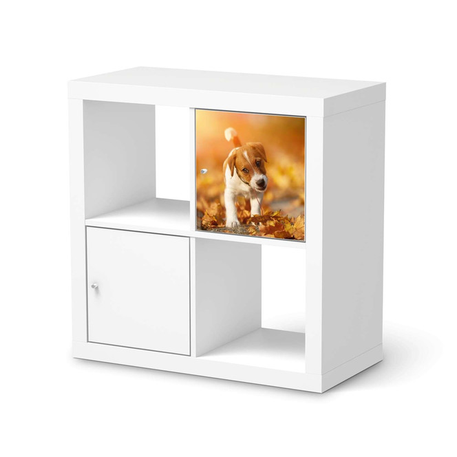 Möbelfolie IKEA Kallax Regal 1 Türe - Jack the Puppy- Bild 1