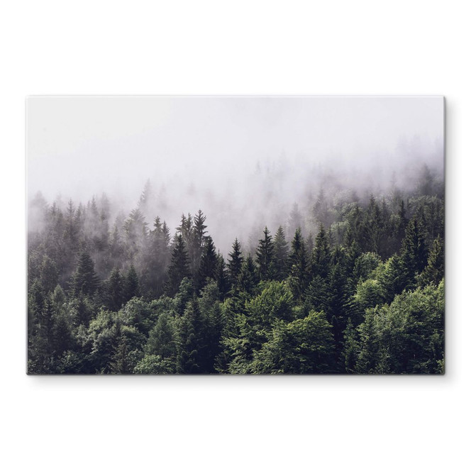 Glasbild Nebliger Wald