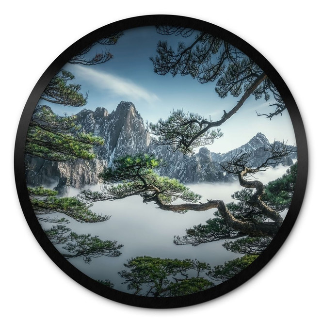 Poster Kiefernwald im Huang Shan Gebirge - NingYun Ye - Rund