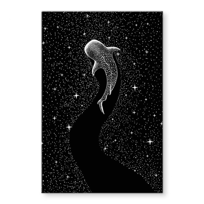 Acrylglasbild Walhai im Ozean der Sterne - Cakir