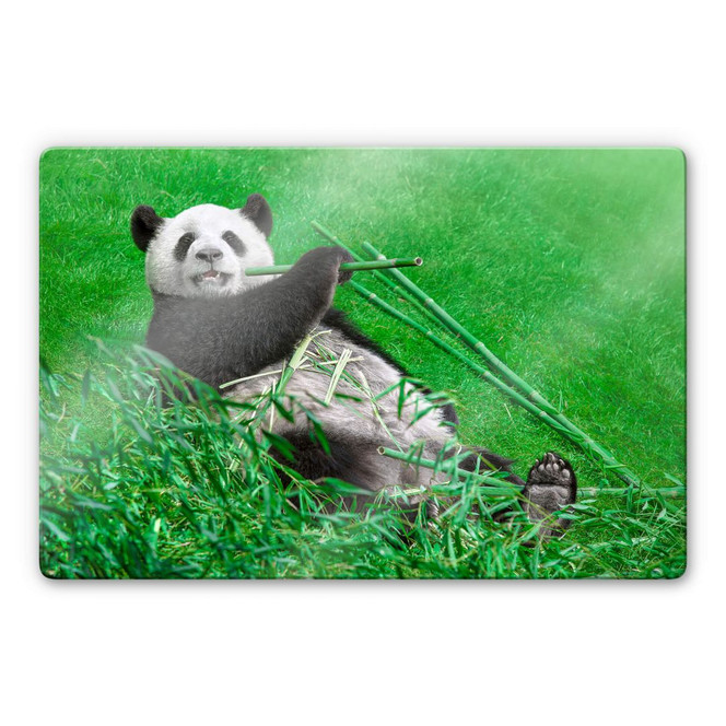 Glasbild Ben Heine - Glücklicher Panda