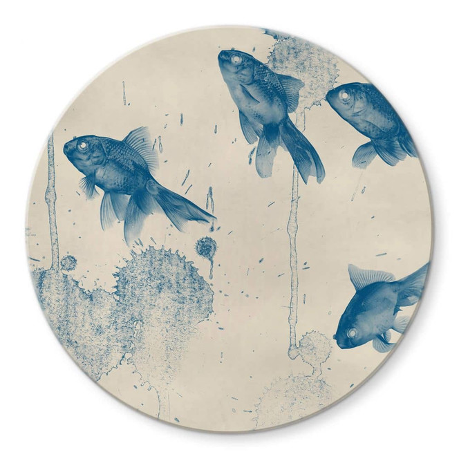 Glasbild Blaue Fische - Rund
