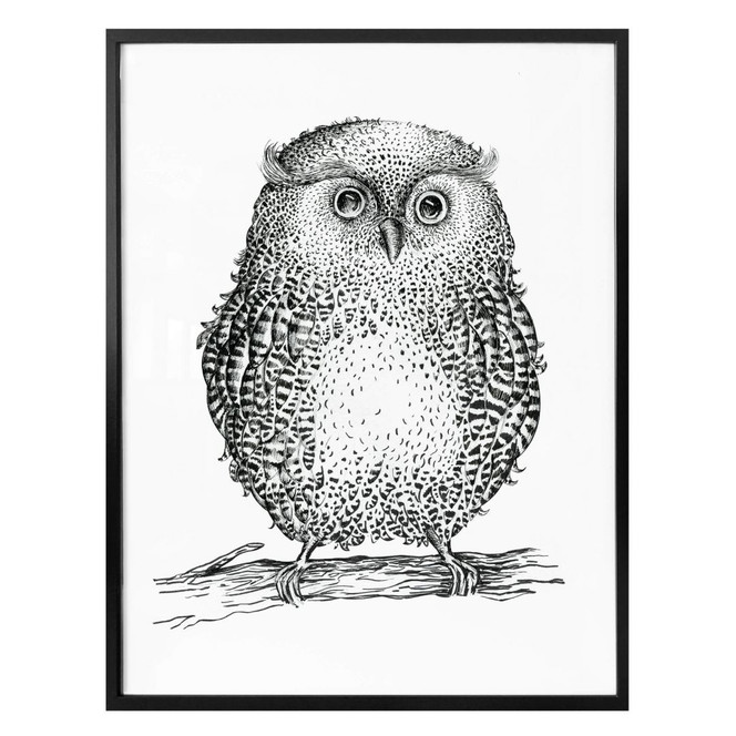 Poster Kvilis - Eule 02