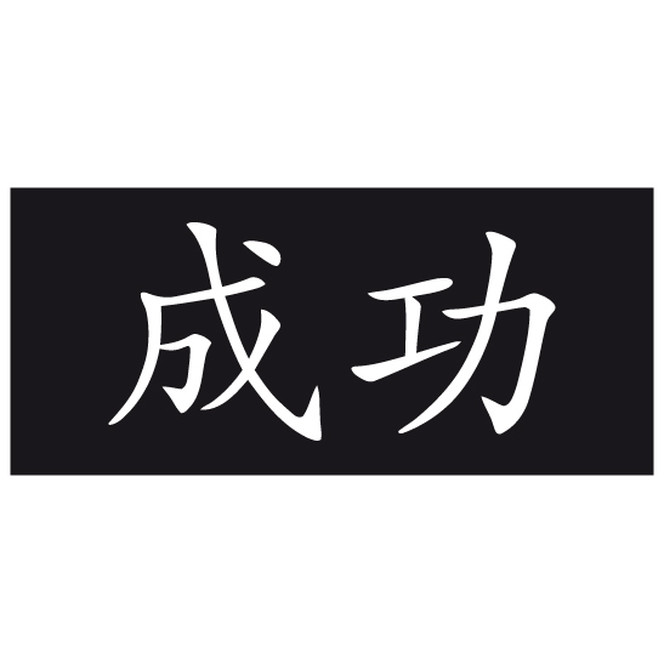 Sichtschutz Chinesisch für Erfolg - Bild 6