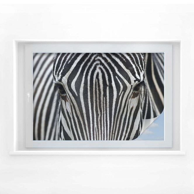 Sichtschutzfolie Blicke