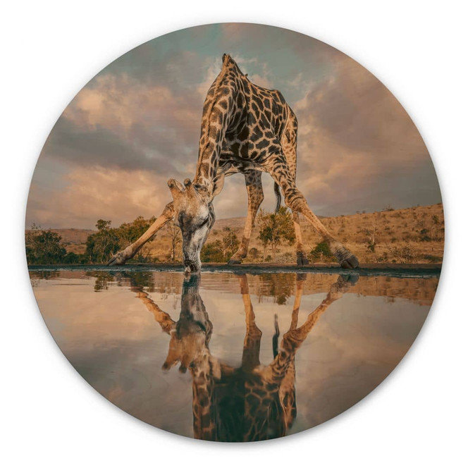 Holzbild Reflexion einer Giraffe in der Wildnis - Amtmann - Rund