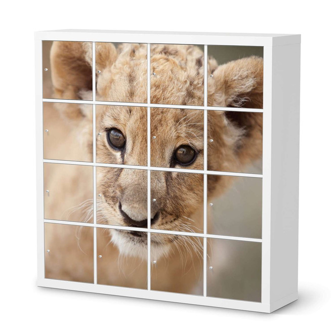 Möbelfolie IKEA Kallax Regal 16 Türen - Simba- Bild 1