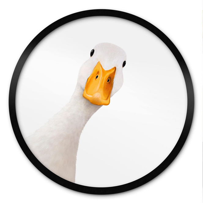 Poster Neugierige Gans - Korenkova - Rund