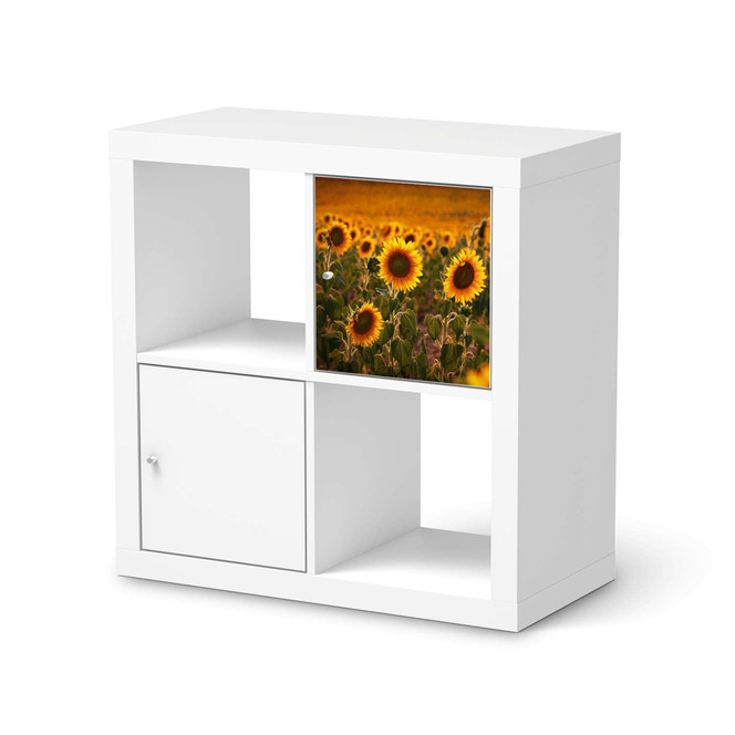 Klebefolie IKEA Expedit Regal Tür einzeln - Sunflowers- Bild 1