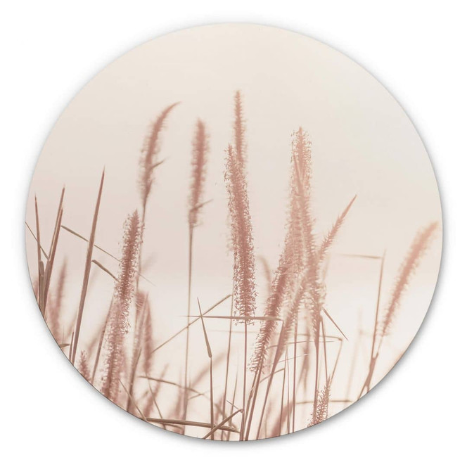 Alu-Dibond Gräser am See - Rund