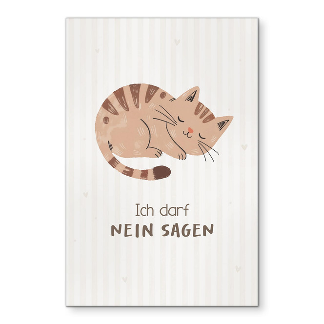 Alu-Dibond Wandbild mit Katze - Kraftsatz "Ich darf nein sagen" für Kinder
